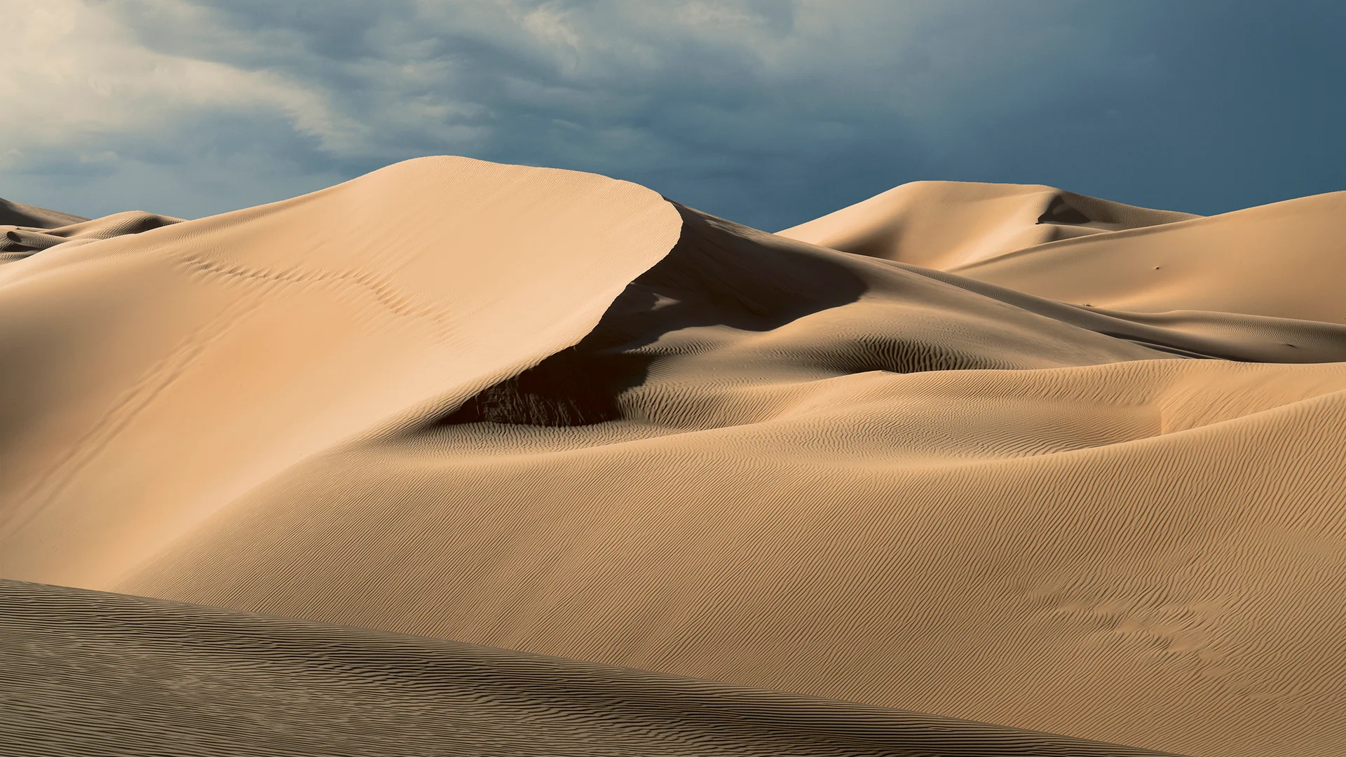 Desert Safari Adventure - Image 3