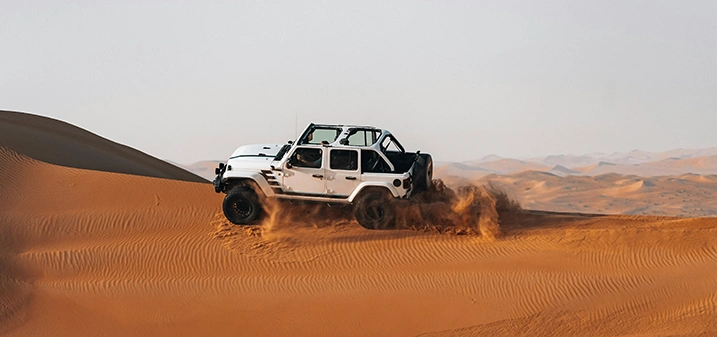 Doha Desert Safari