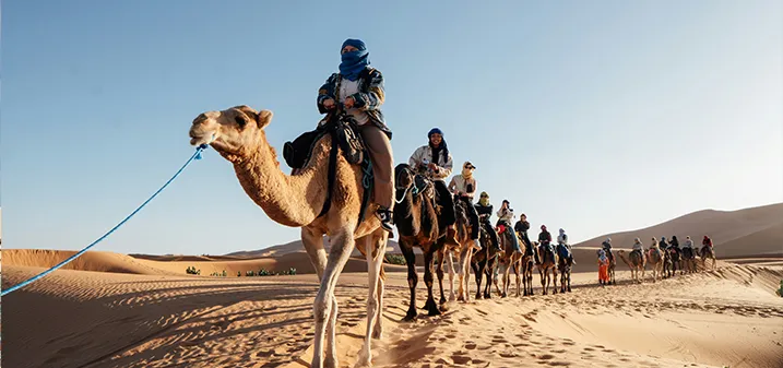 Expert Local Guides