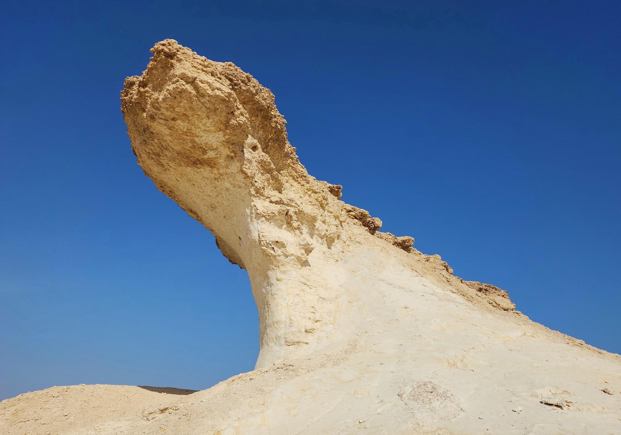 West Qatar Tour